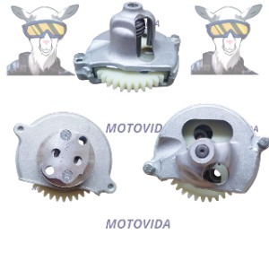 Bomba de aceite CG125/CG150/DM150 39T Completa
