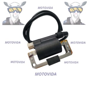 Bobina de alta mototaxi mototaxi tvs king