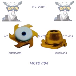 Kit de forros para tuercas con uñas dorado