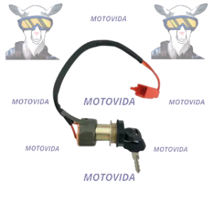 Switch de ignicion Mototaxi TVS king