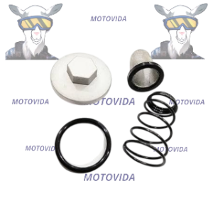 Kit de tapon de drenaje DS150/125/GY6150/125