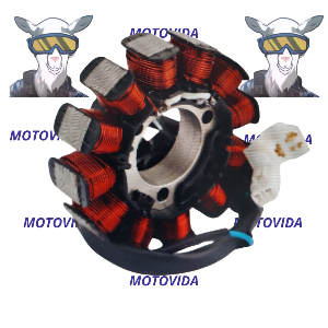 Bobina de magneto FZ2.0