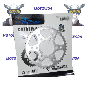 Catarina serpento defender 46T