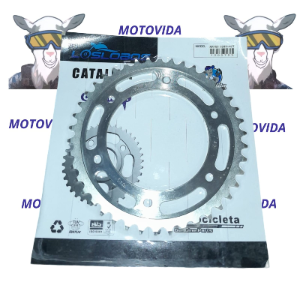 Catarina XR150/KMF250 ZX 520H-42T