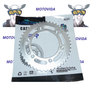 Catarina XR150 520H-45T