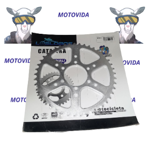 Catarina serpento defender/GSR250 520H-45T