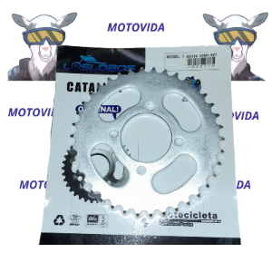 Catarina boxer/CT100/platina/AX100 38T