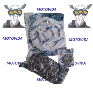 Kit de traccion YBR125/Serpento/FT125/150Z/CR1 43T