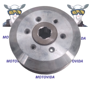 Canasta de clutch FT150/gya200 6 tornillos sin discos MB