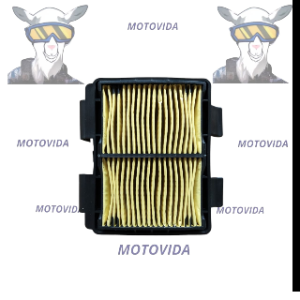 Filtro de aire GXT250R/ZX250R 200114