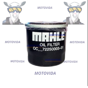Filtro aceite 2876 mototaxi 4S