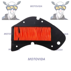 Filtro de aire zm150/dxz150