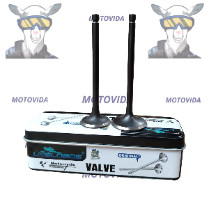 Kit de valvulas FZ16 LOBOS