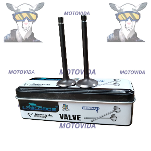 Kit de valvulas crux110 LOBOS