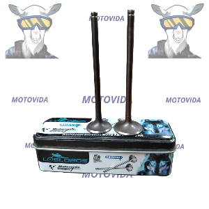 Kit de valvulas EN125/GN125 LOBOS