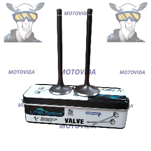 Kit de valvula 63.5mm CG200/XL200 Lobos