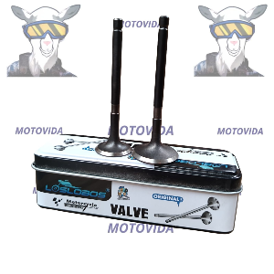 Kit de valvulas Mototaxi205 Lobos 