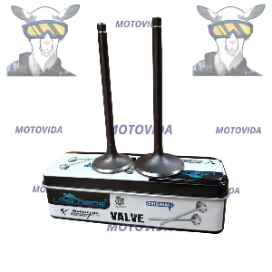 Kit de valvulas GXT/KMF/DR200 LOBOS