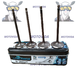 Kit de valvulas pulsar200 NS Lobos