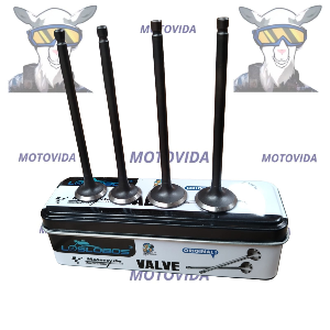 Kit de valvulas pulsar135 4 pcs Lobos