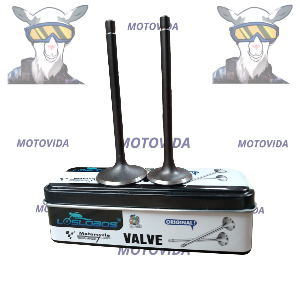 Kit de valvulas 67MM CG200/GYA200 LOBOS