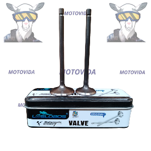 Kit de valvulas cg150/ft150/kb150 Lobos