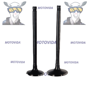 Kit de valvulas nxr125