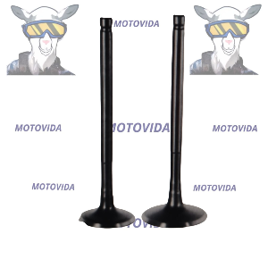 Kit de valvulas CB150/WY150