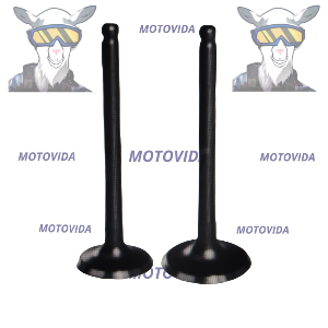 Kit de válvulas mototaxi 4S 2018 