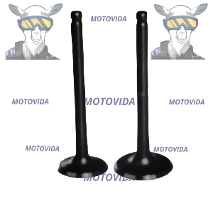 Kit de valvulas mototaxi 4S 2018 original