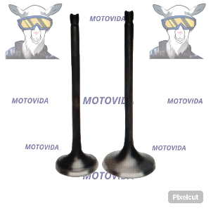 Kit de valvulas yumbo200