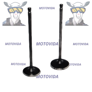 Kit de valvulas mototaxi 4S/pulsar180 36aa4033p3w/zdxt20573
