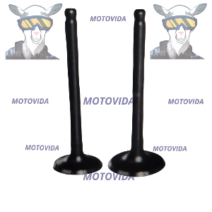 Kit de valvulas mototaxi205 original