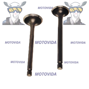 Kit de valvulas platina125 original