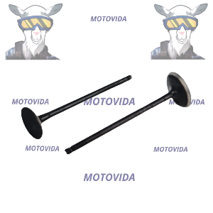 Kit de valvula mototaxi 4s/pulsar180 orginal/36jd1004