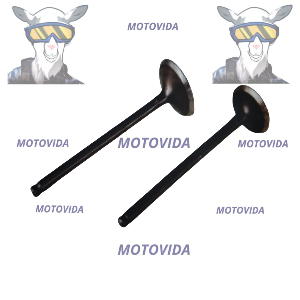 Kit de valvula CB125/WY125