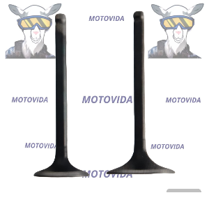 Kit de valvulas motoneta (GY6125)