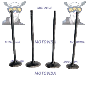 kit de valvulas pulsar200 NS 4 pcs