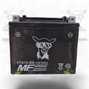 Bateria YTX12-BS