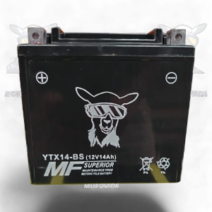 bateria YTX14-BS