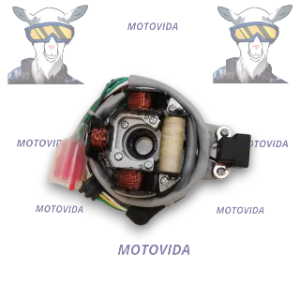 Bobina de magneto CT100