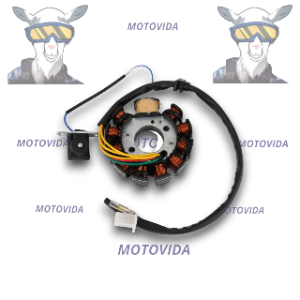Bobina de magneto gy6/md150t-125 11 campos 