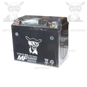 Bateria YTX12-BS