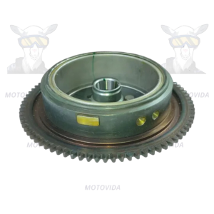 Magneto completo mototaxi205 